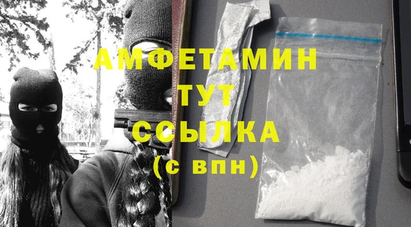 эйфоретик Няндома